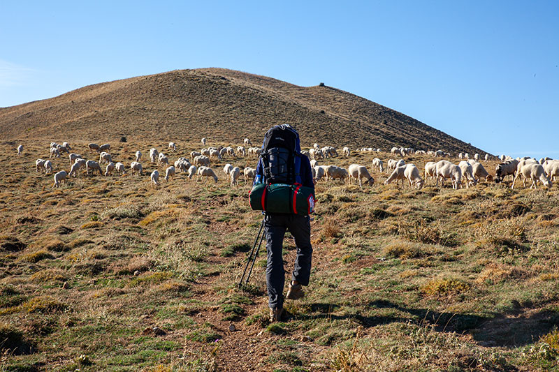 Efeler Yolu Trekking Patikatrek