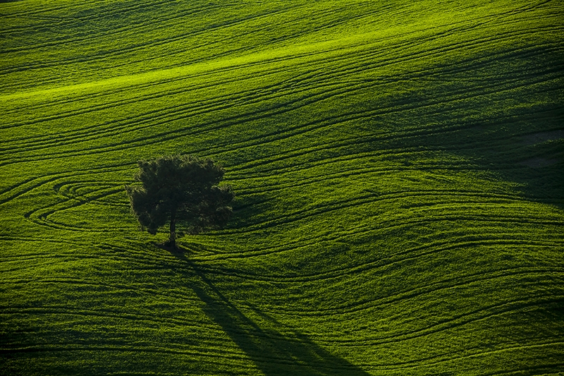 Fotoğraf ve Işık