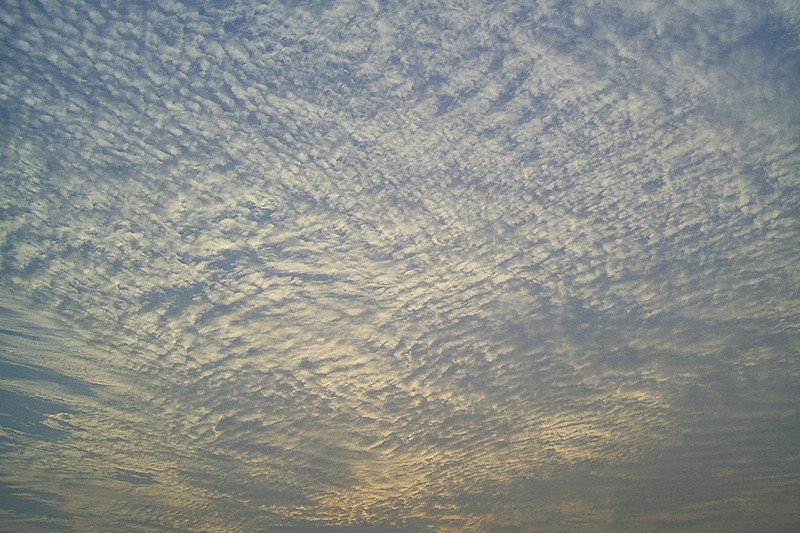 cirrocumulus