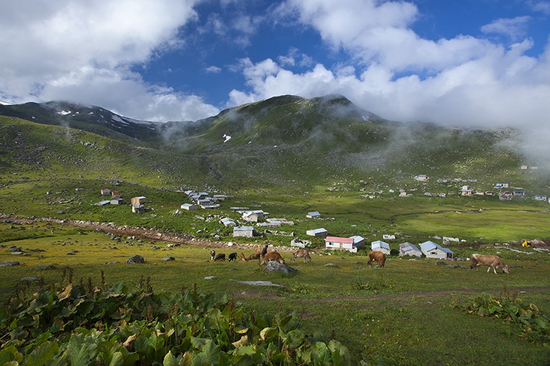 Yaylacılık ve yayla göçleri