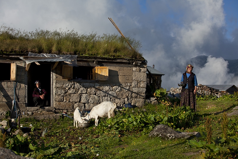 Yaylacılık ve yayla göç