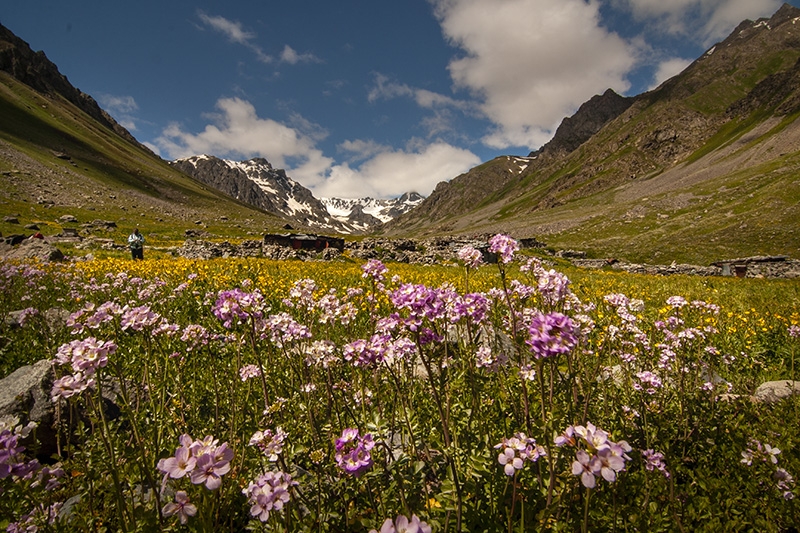 yayla Karadeniz Trekking