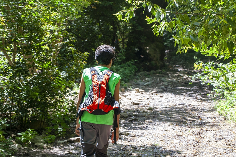 Ilgaz Dağları Trekking