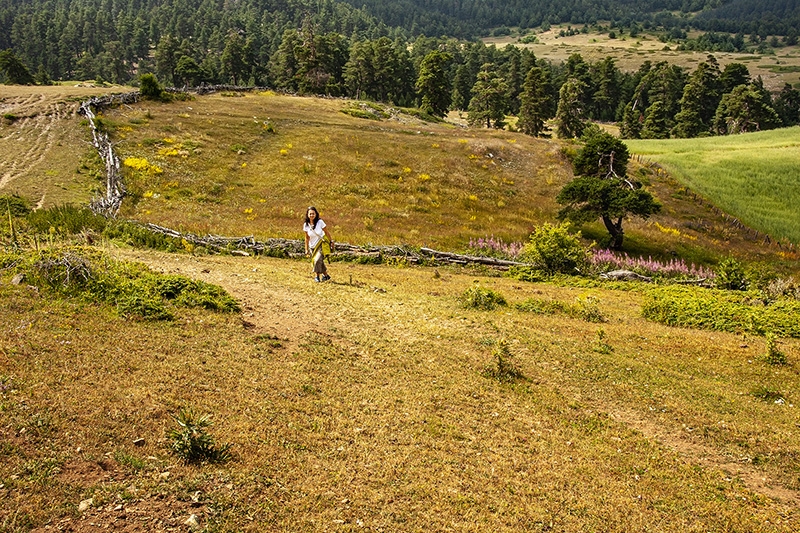 Doğa Yürüyüşü Trekking