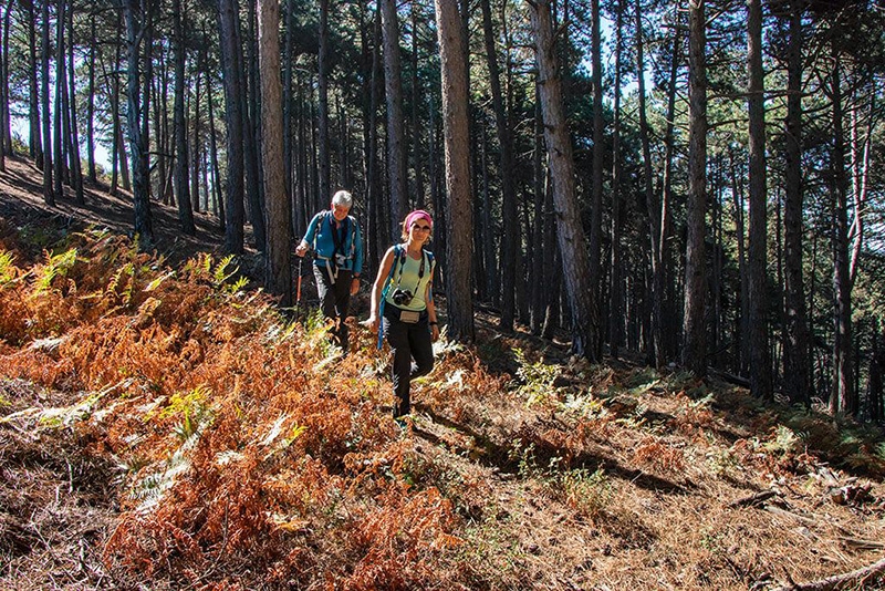 Yürüyüş Doğa Trekking