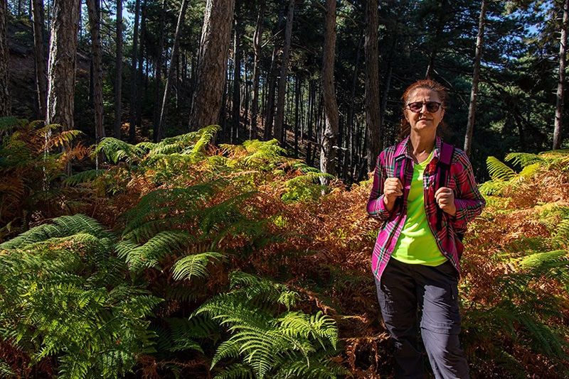 Trekking doğa