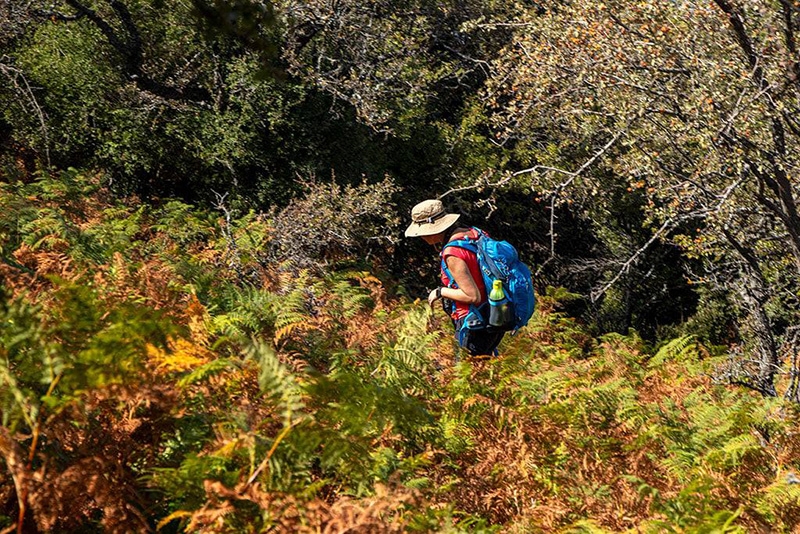 Sonbahar Trekking