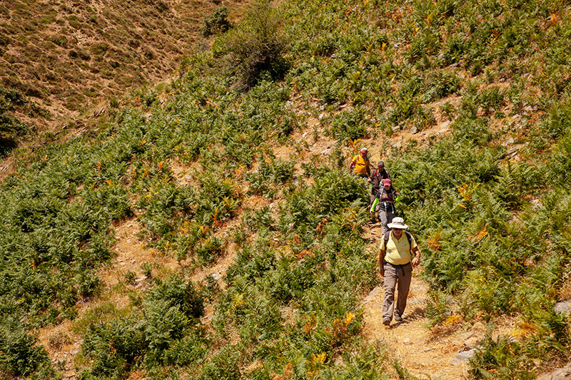 Efeler Yolu Trekking 12