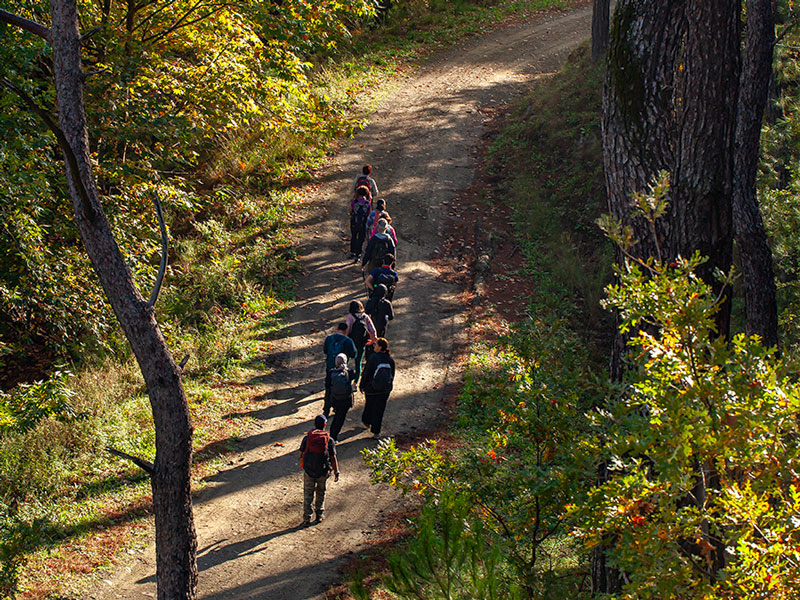 Doğa Seni Çağırıyor