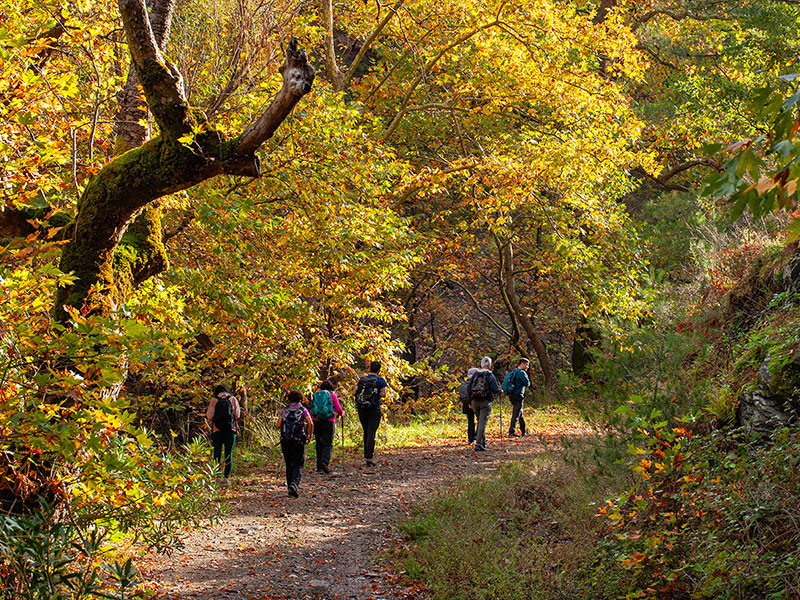 Doğa Yürüyüşünün Faydaları
