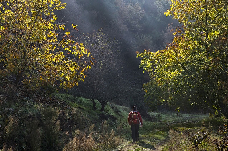 Fotoğraf ve Işık