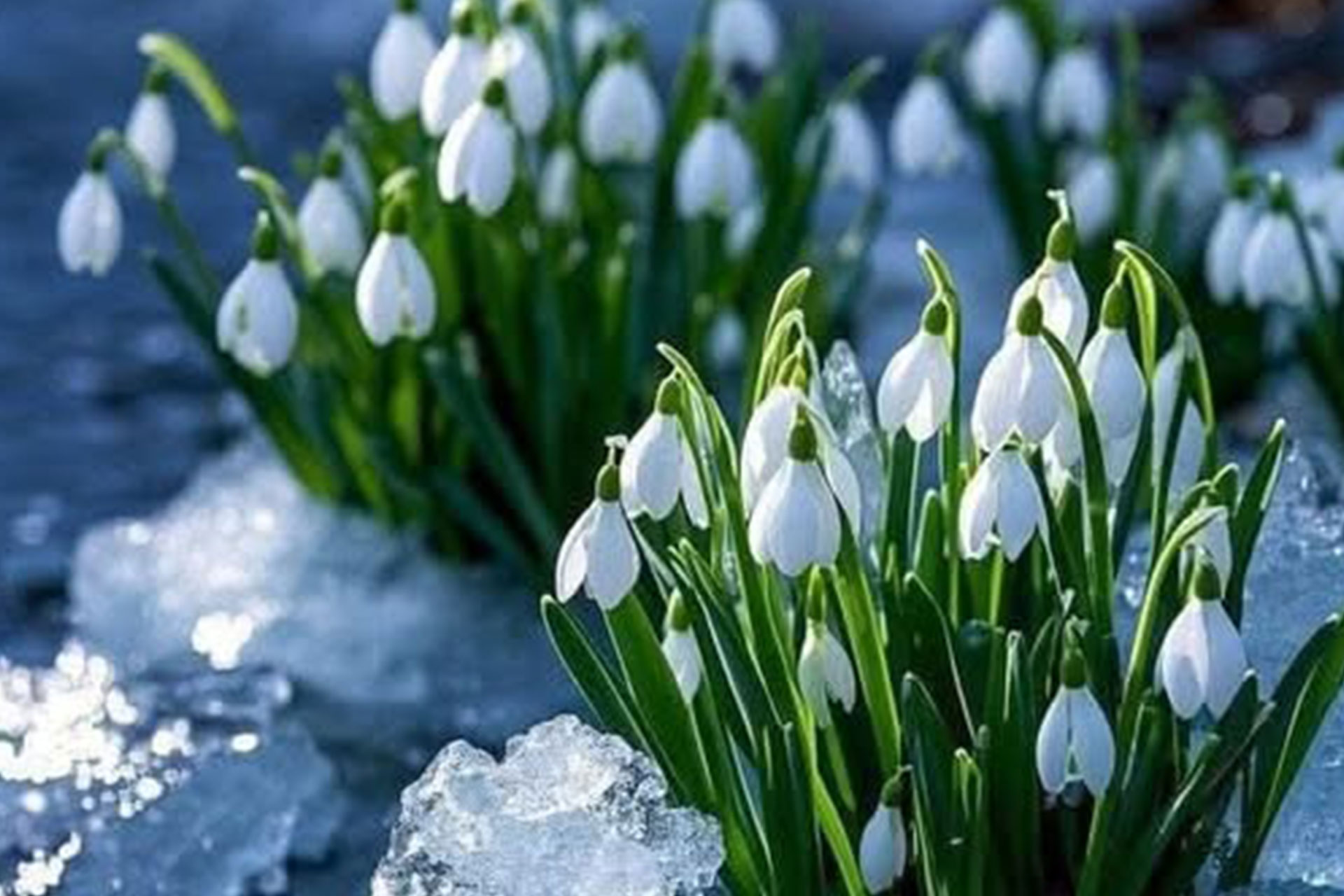 İzmir Doğa Yürüyüşleri