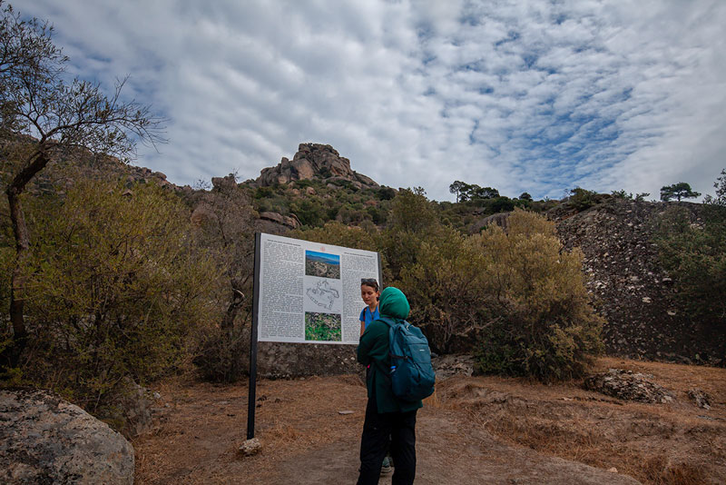 Doğada yeni bir sezon