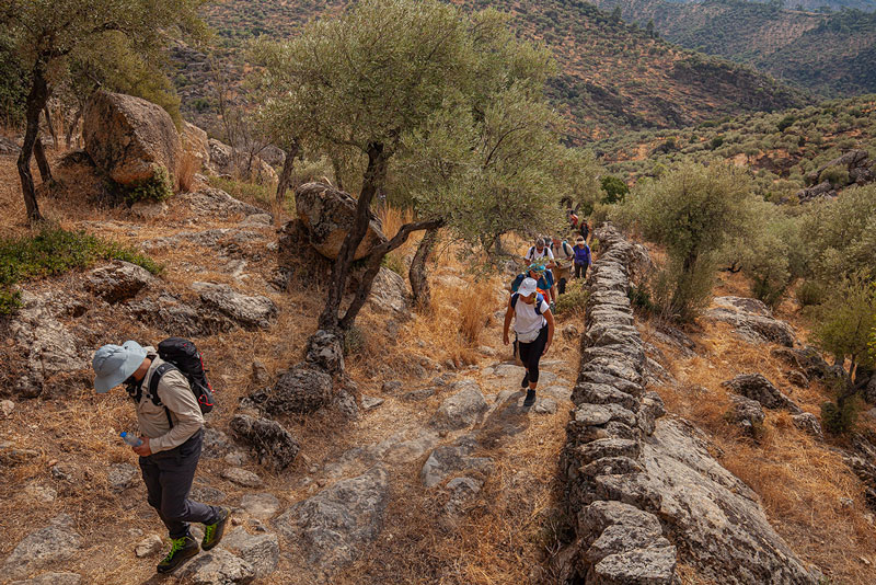 Doğada Yeni bir Sezon