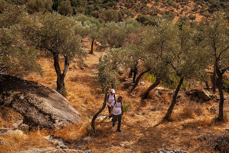 Yeni Doğa Yürüyüşü Sezon